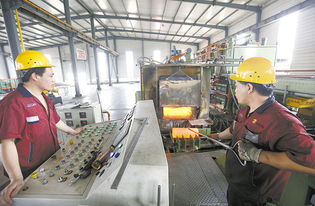 武強(qiáng) 技術(shù)開發(fā)領(lǐng)域的璀璨新星與未來展望